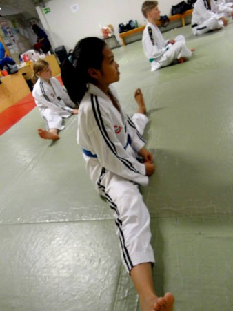Poomsae trainingcamp in Kuopio 2013.
